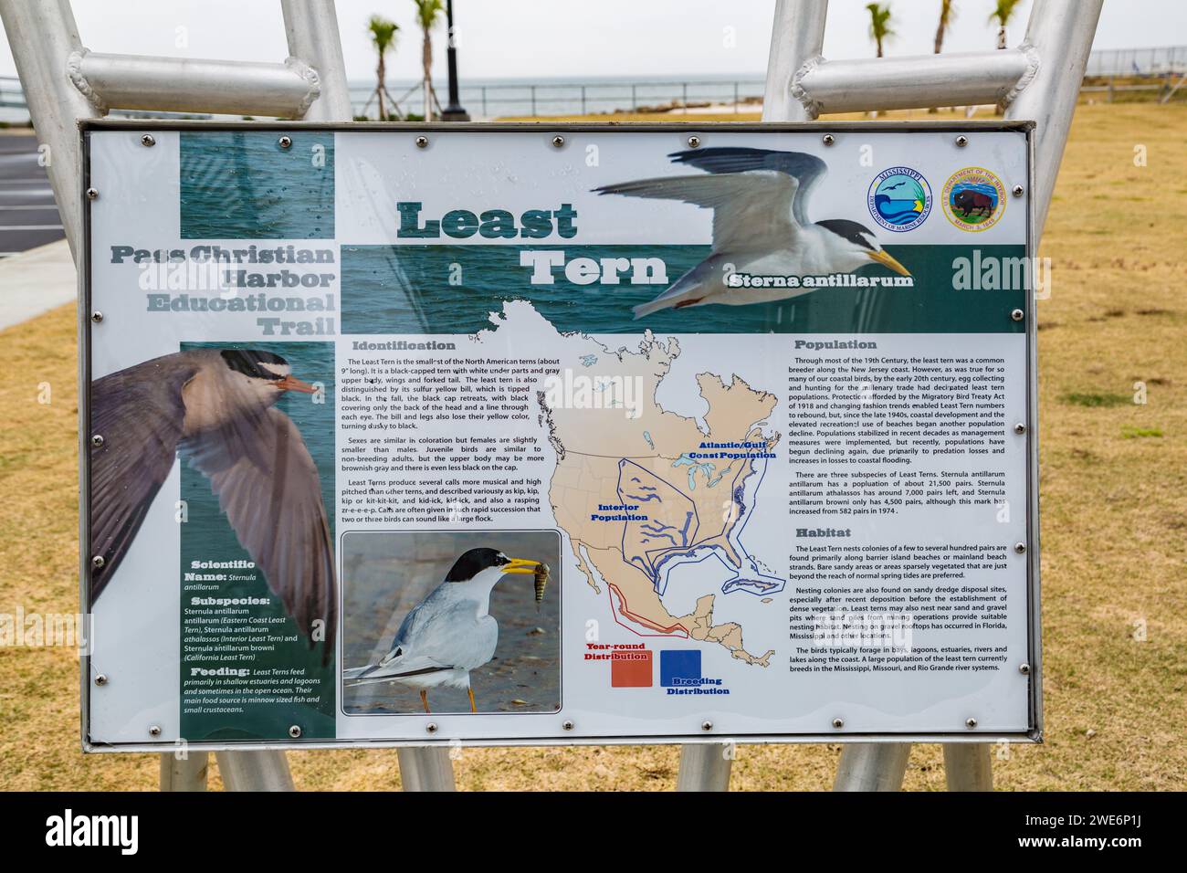 Schilder entlang des Pass Christian Harbor Educational Trail erhalten Sie Informationen über die Vogelarten, die an der Mississipp Coast zu finden sind Stockfoto