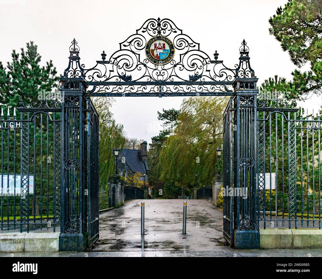Elegante schmiedeeiserne Tore mit kompliziertem Design, die zu einem von Bäumen gesäumten Pfad führen. Stockfoto