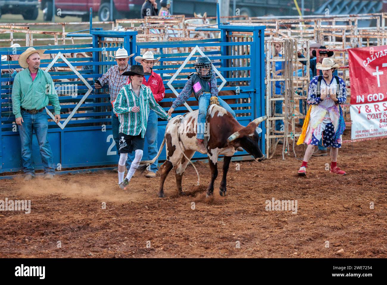 Junge, der an einem Steer Riding Event während des Hardin County Fair Rodeo in Savannah, Tennessee teilnimmt Stockfoto