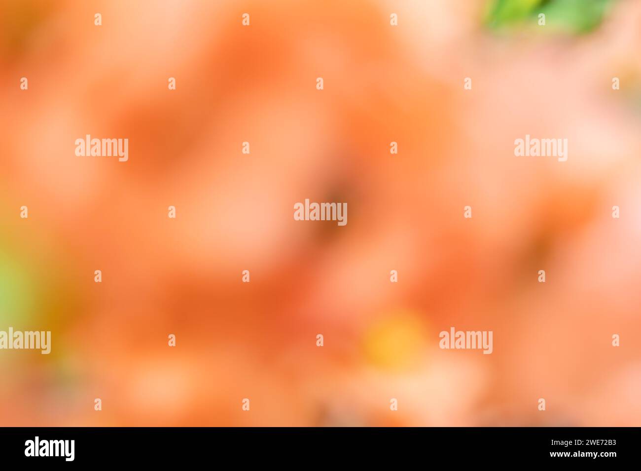 Abstrakter pfirsichfarbener Hintergrund mit grünen Akzenten Stockfoto