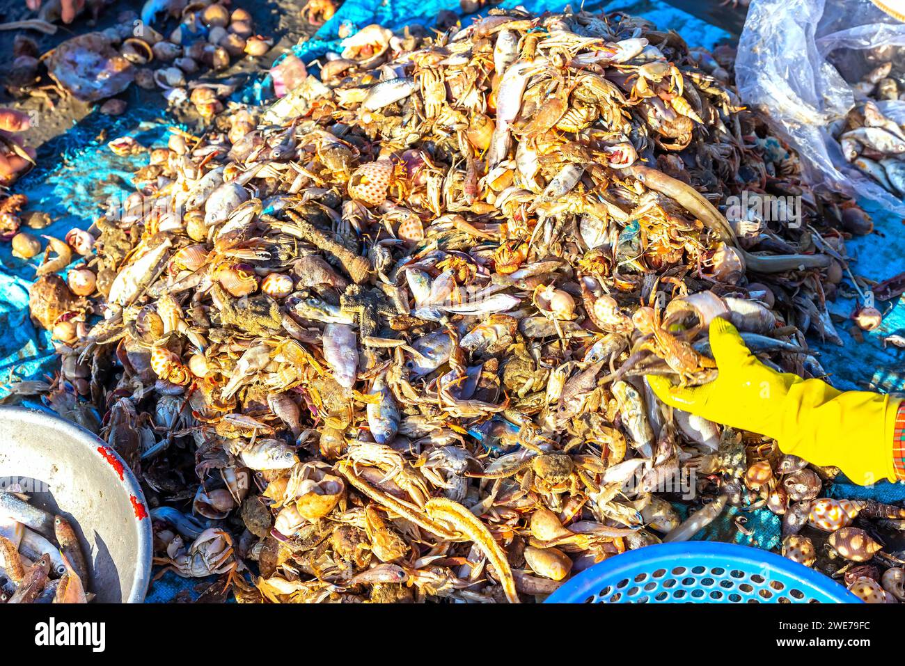Fischmarkt Session Seeszene Menschen versammelten sich im Korb Fischverkauf, anstrengende Ruderfischer brachten an Land Fischerdorf in Phan Thiet Stockfoto