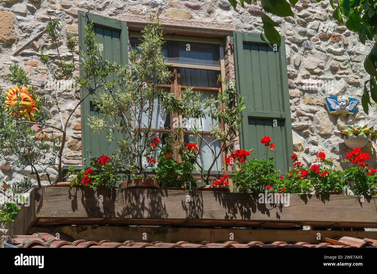 Fenster mit grünen Fensterläden und Blumenkasten mit Geranien und Olivenbäumen, Gardasee, Sirmione, Provinz Brescia, Lombardei, Italien Stockfoto