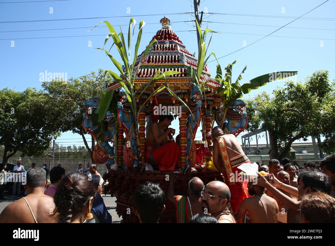 Sydney, Australien. Januar 2024. Wagenparade (Therr Thiruvizha) am Sri Karphaga Vinayakar Tempel, 123 The Crescent, Homebush West, NSW 2140. Die Chariot Parade nahm eine Route um den Block mit Musik und Tanz, während Anhänger den Wagen zogen und ein Mann hinter ihm den Boden entlang rollte. Richard Milnes/Alamy Live News Stockfoto