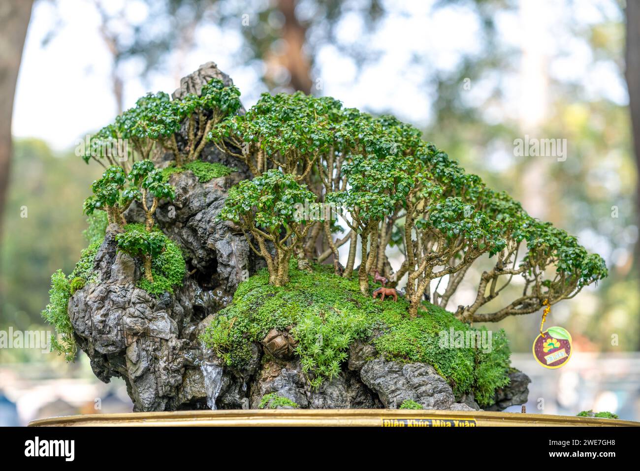 Bonsai und Penjing mit Miniatur in einem Fach wie im menschlichen Leben zu sagen muss stark steigen werden, Geduld überwinden alle Herausforderungen gut und sinnvoll zu leben Stockfoto