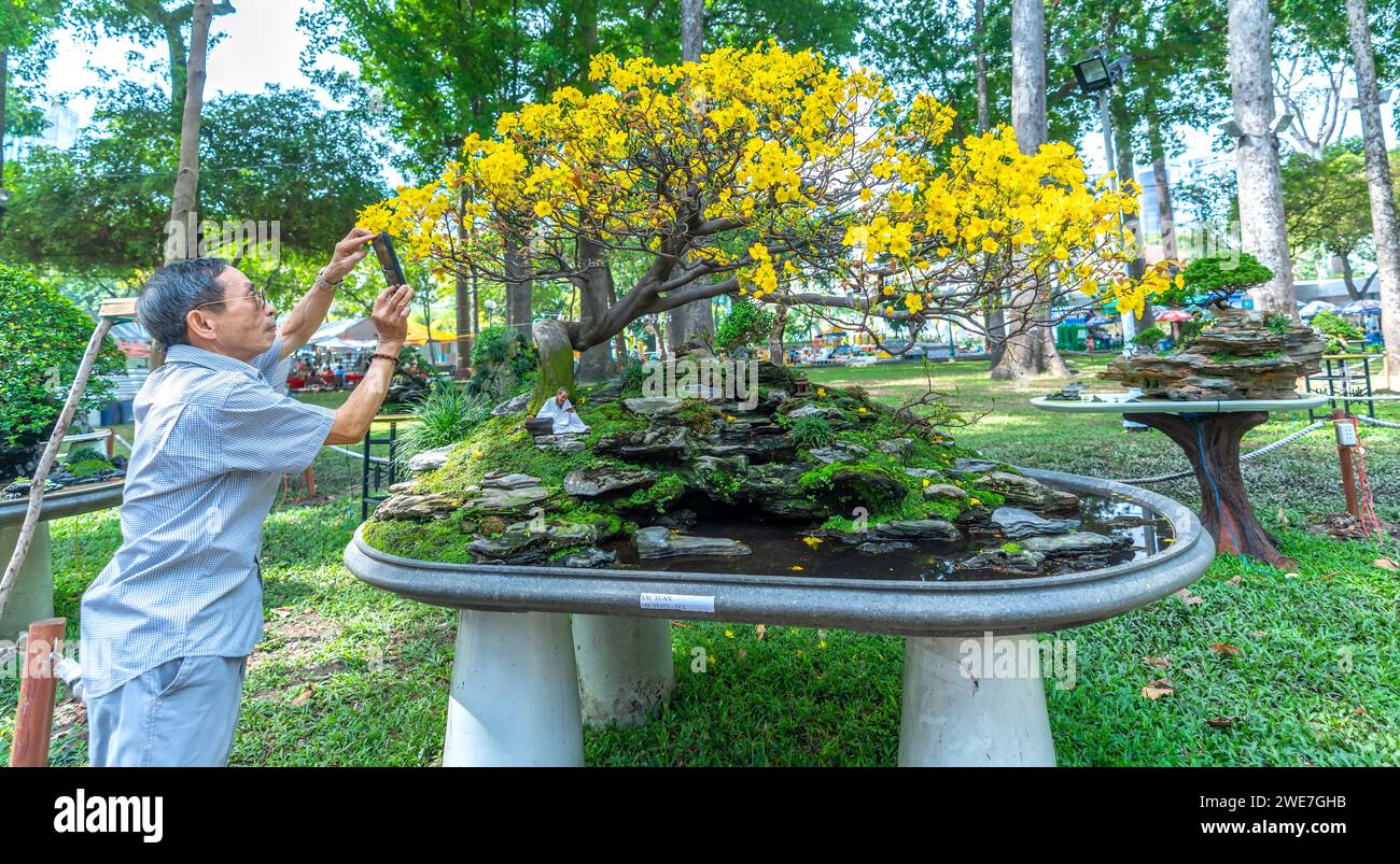 Bonsai und Penjing mit Miniatur in einem Fach wie im menschlichen Leben zu sagen muss stark steigen werden, Geduld überwinden alle Herausforderungen gut und sinnvoll zu leben Stockfoto