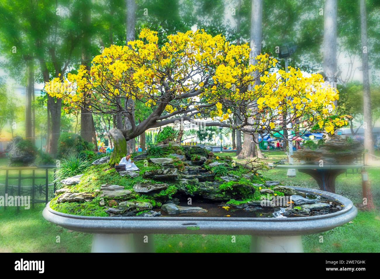 Bonsai und Penjing mit Miniatur in einem Fach wie im menschlichen Leben zu sagen muss stark steigen werden, Geduld überwinden alle Herausforderungen gut und sinnvoll zu leben Stockfoto