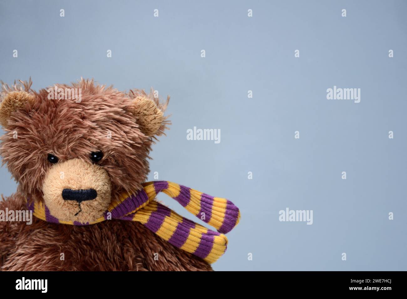 Teddybär, Teddy Stockfoto