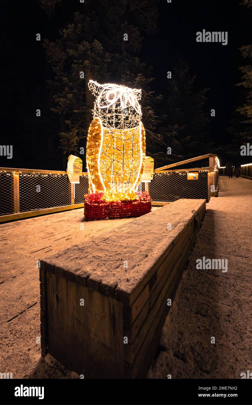 Beleuchtete Eulenfigur als Weihnachtsdekoration im Dunkeln, magische Waldbewohner, Baumwipfelpfad Bad Wildbad, Schwarzwald, Deutschland Stockfoto