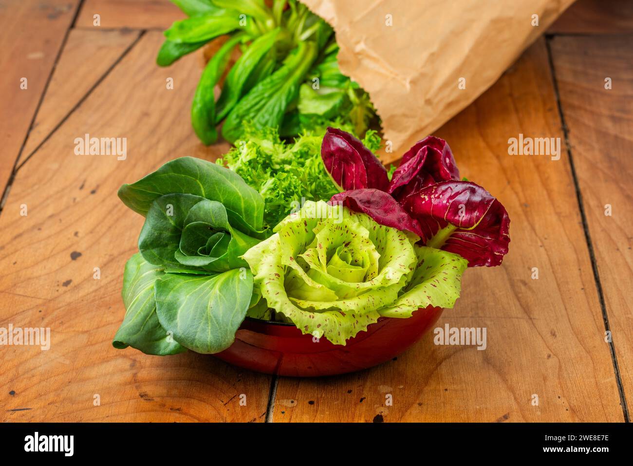 Vier Salate in einer Tasse auf einem antiken Holztisch: Grüner Grumolo-Zichorie, Radicchio aus Chioggia, Radicchio aus Castelfranco und Curly-Salat. Stockfoto