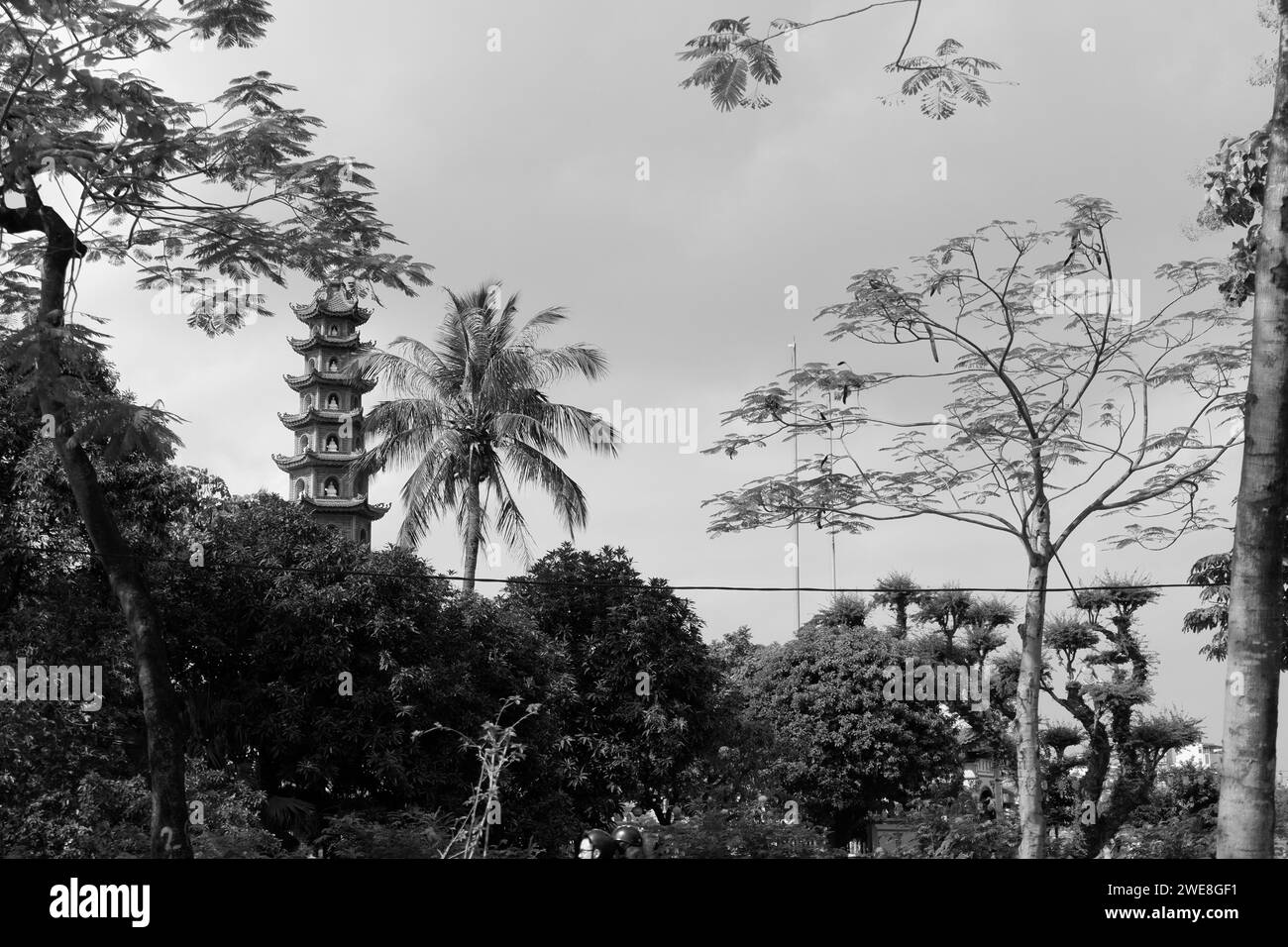 Tran Quoc Pagode in der Nähe des Westsees Hanoi, historisches Wahrzeichen mit herrlicher tropischer Landschaft, kultureller alter Tempel in Vietnam Stockfoto