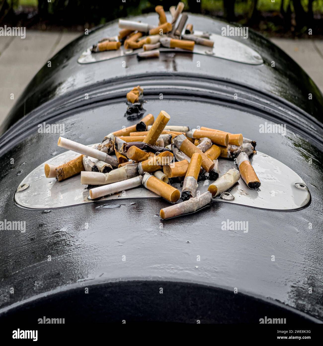 Zigarettenkippen oben auf einem kommunalen Mülltonne. Stockfoto
