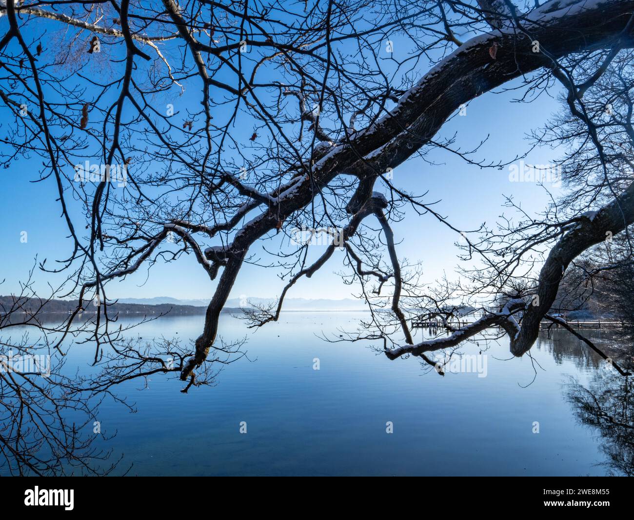 Blick vom Ufer des Starnberger Sees in südlicher Richtung auf die Alpen. Im Vordergrund steht ein Winterbaum ohne Blätter Stockfoto