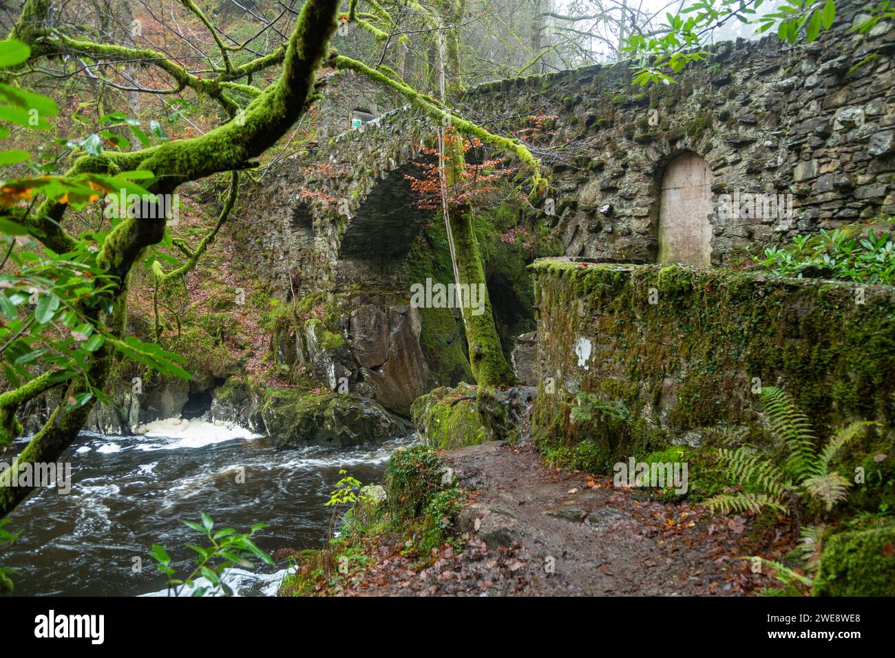 Die Eremitage Dunkeld, der Fluss Braan und eine alte Steinbrücke. Stockfoto