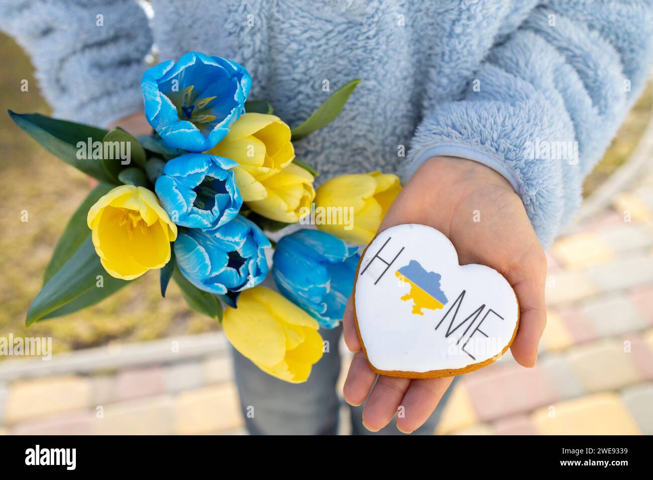 Blaue und gelbe Tulpen und Lebkuchen mit einer Karte der Ukraine und der Inschrift Heimat in der Palme Stockfoto