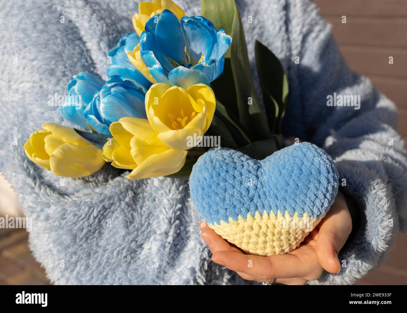 In den Händen der Frauen gibt es einen Blumenstrauß aus Tulpen und ein gelb-blaues Herz Stockfoto