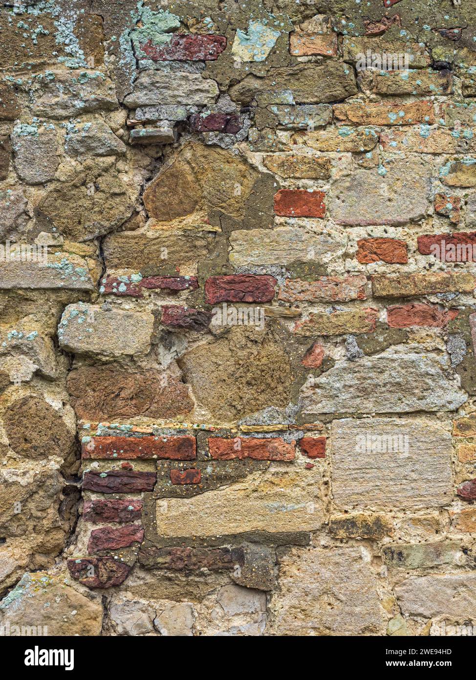 Steinmauer neben der Ely Kathedrale, die lokalen grünen Sandstein, gekleideten Kalkstein und verschiedene Arten von Ziegeln umfasst, Ely, Cambridgeshire Stockfoto