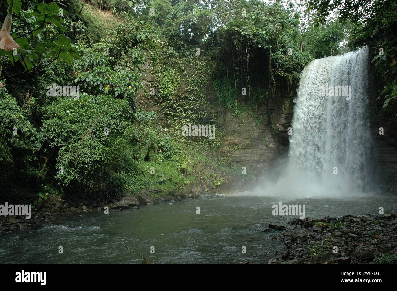 Die Seven Falls (auch bekannt als „Dongon 7 Falls“) ist eine bezaubernde Attraktion am Lake Sebu. Gelegen in Asien, Philippinen, Süd-Cotabato. Stockfoto