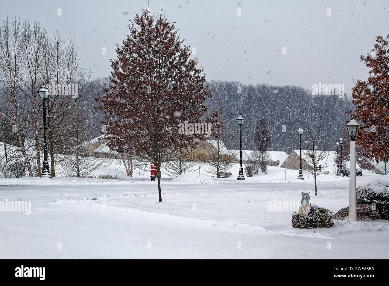 Schneeszene, Landschaft, Bäume, Straßenlaternen, Häuser, schneebedeckte Straße, ruhig, friedlich, ruhig, Winter, Pennsylvania, Chester County, PA Stockfoto