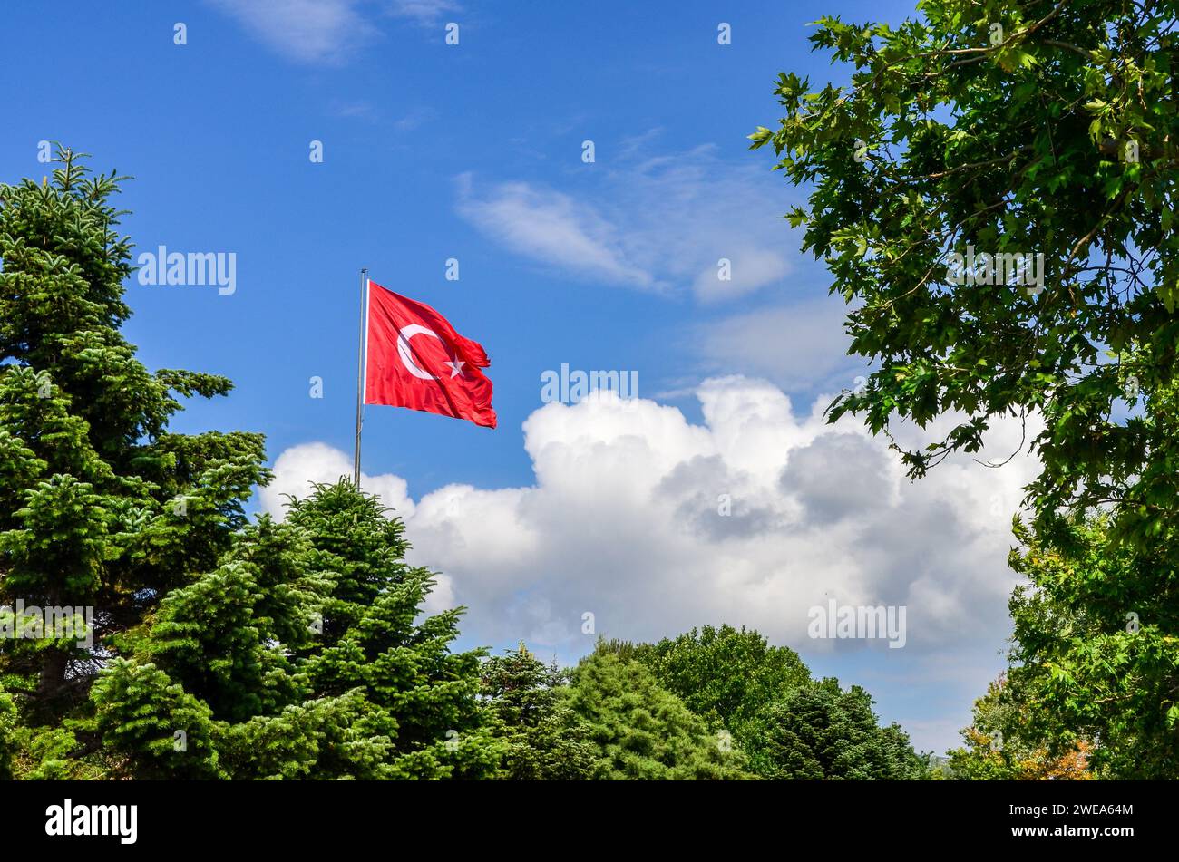 Türkische Flagge winkt im Wind vor einem blauen Himmel mit Wolken, umgeben von grünen, üppigen Bäumen Stockfoto