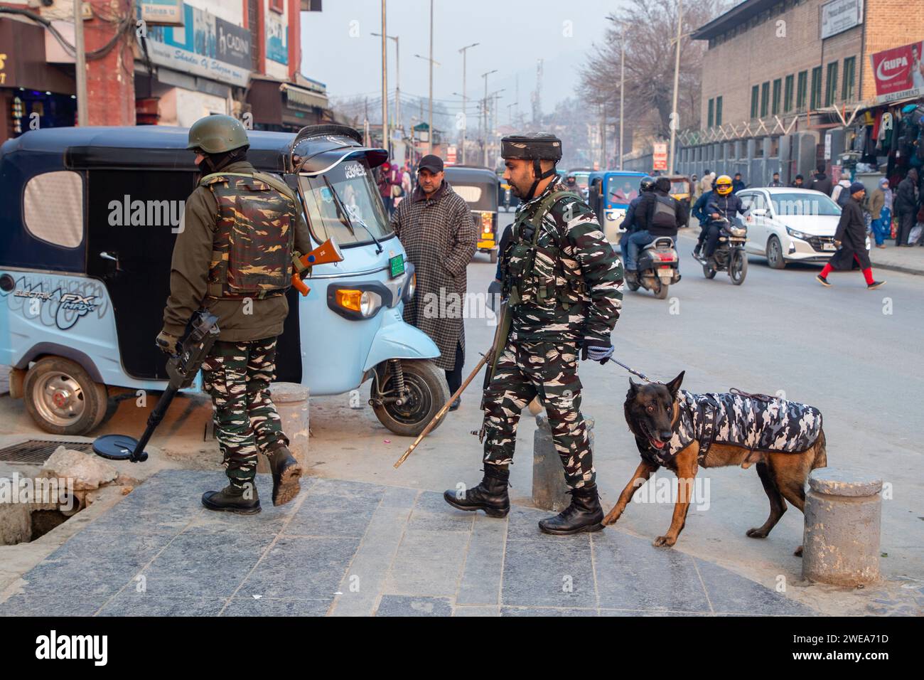 Indische paramilitärische Truppen patrouillieren zusammen mit dem Schnüffelhund vor dem Indischen Republikstag durch die Straßen. Die indischen Behörden im Kaschmir-Tal haben die Sicherheitsmaßnahmen verstärkt, um störende Aktivitäten im Vorfeld der Feierlichkeiten zum Tag der Republik am 26. Januar zu unterbinden. Mit Drohnen und hochauflösenden CCTV-Kameras, die Bewegungen in Echtzeit überwachen, wurden die Fahrzeugfetzen und Inspektionen verstärkt. Der Tag der Republik feiert den Jahrestag der Verabschiedung der indischen Verfassung am 26. Januar 1950. Stockfoto