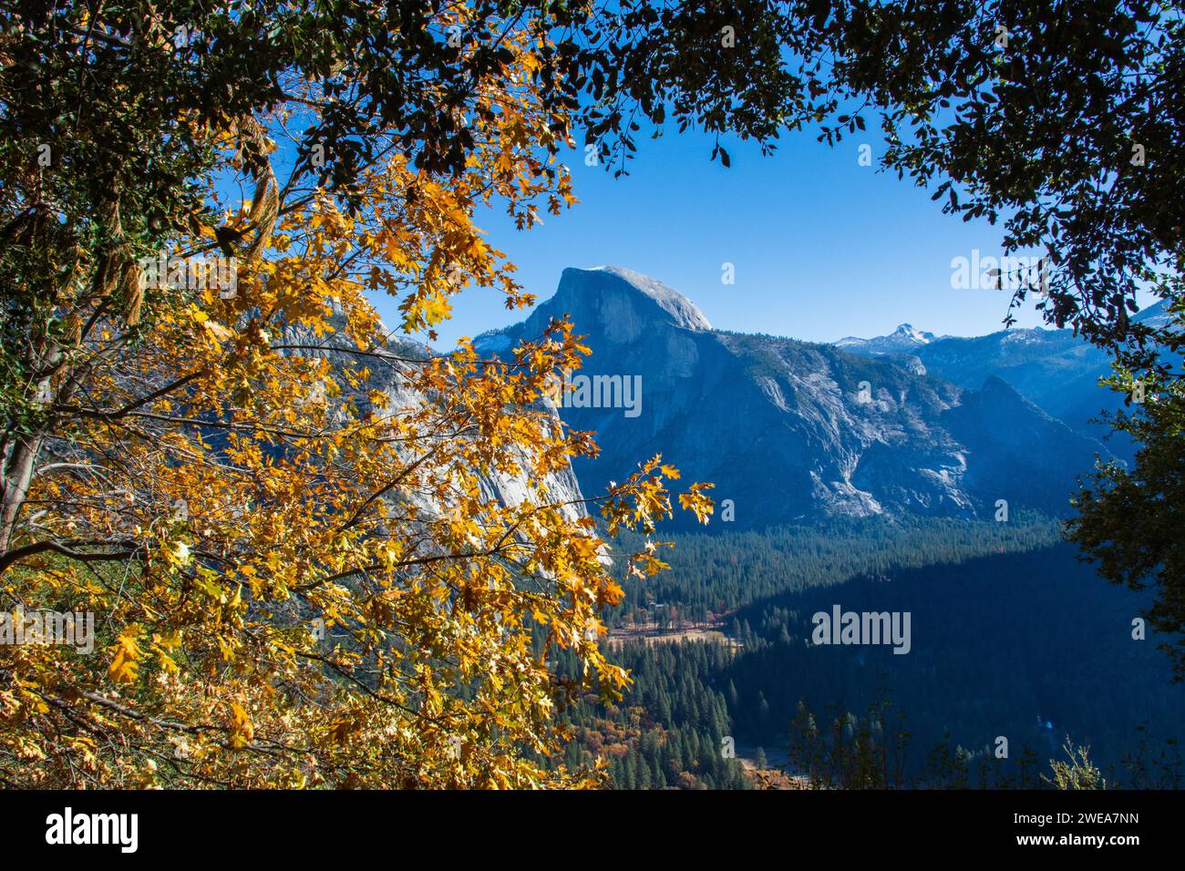 Herbstliche Schönheit im Yosemite-Nationalpark. Stockfoto