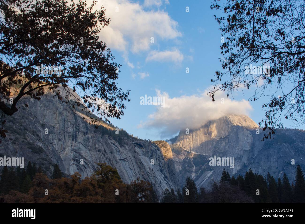 Herbstliche Schönheit im Yosemite-Nationalpark. Stockfoto