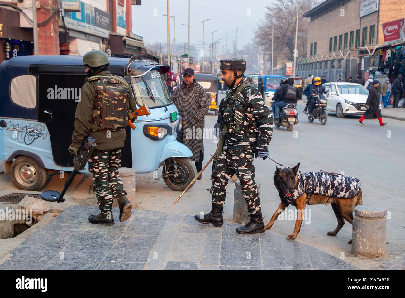 Indische paramilitärische Truppen patrouillieren zusammen mit dem Schnüffelhund vor dem Indischen Republikstag durch die Straßen. Die indischen Behörden im Kaschmir-Tal haben die Sicherheitsmaßnahmen verstärkt, um störende Aktivitäten im Vorfeld der Feierlichkeiten zum Tag der Republik am 26. Januar zu unterbinden. Mit Drohnen und hochauflösenden CCTV-Kameras, die Bewegungen in Echtzeit überwachen, wurden die Fahrzeugfetzen und Inspektionen verstärkt. Der Tag der Republik feiert den Jahrestag der Verabschiedung der indischen Verfassung am 26. Januar 1950. (Foto: Faisal Bashir/SOPA Images/SIPA USA) Stockfoto