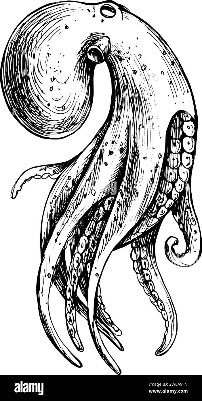 Unterwasser-Welt-Clipart mit Octopus. Grafische Abbildung, handgezeichnet mit schwarzer Tinte. Isolierter Objekt-EPS-Vektor. Stock Vektor