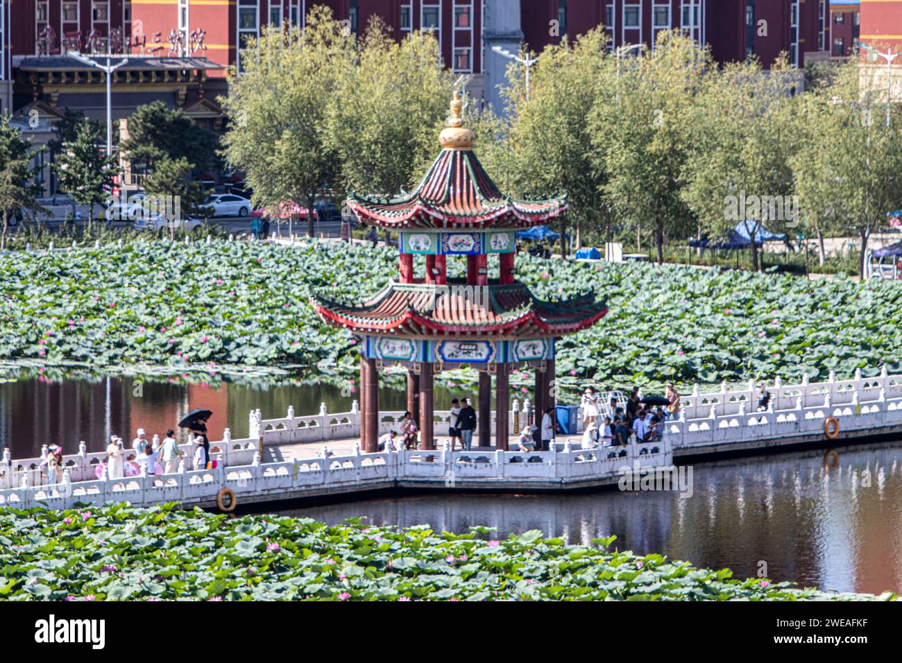 Jinzhou, Jiuhua Mountain, Liaoning, Linghai, Little Potala Palace, Volksrepublik China, Seerosen Stockfoto