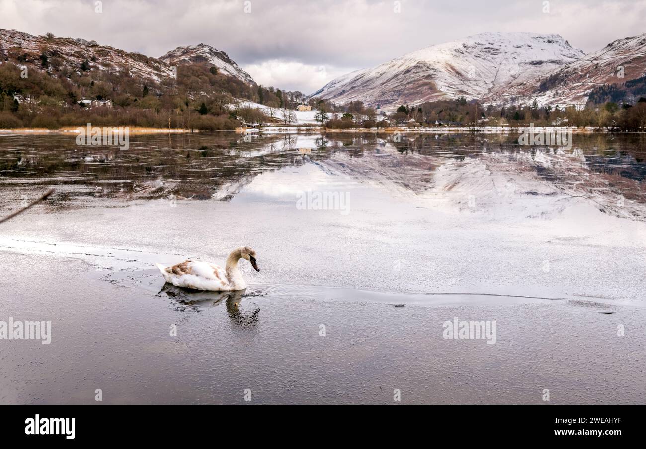 Der Grasmere Lake im Lake District Cumbria UK spiegelt sich vor einem Hintergrund aus schneebedeckten Bergen und eisblauem Wasser wider Stockfoto
