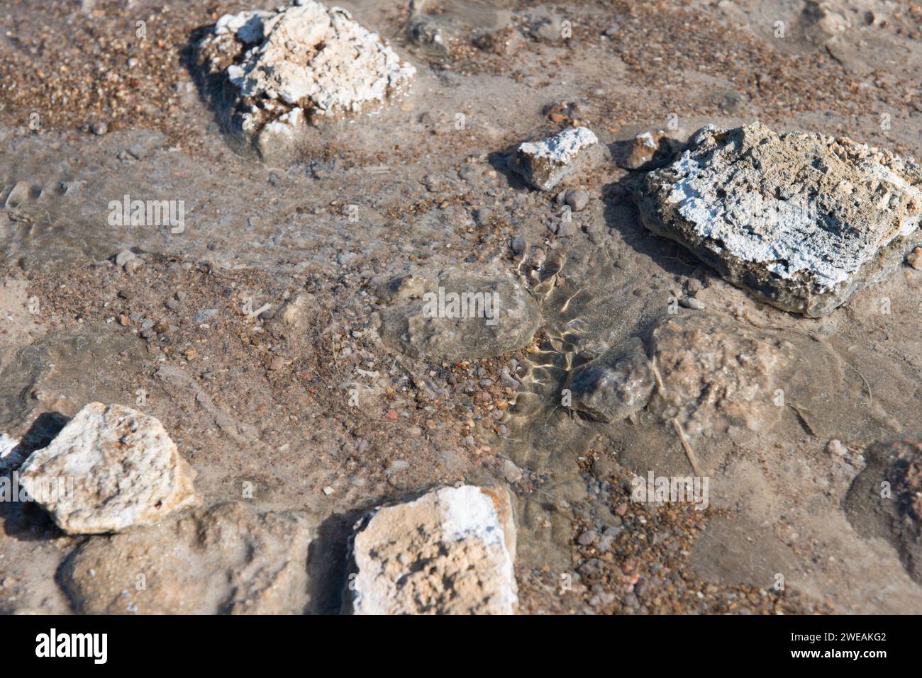 Einer der sehr heißen geothermischen Dämpfe im Geysir Geothermal Area nahe der Südküste Islands. Stockfoto