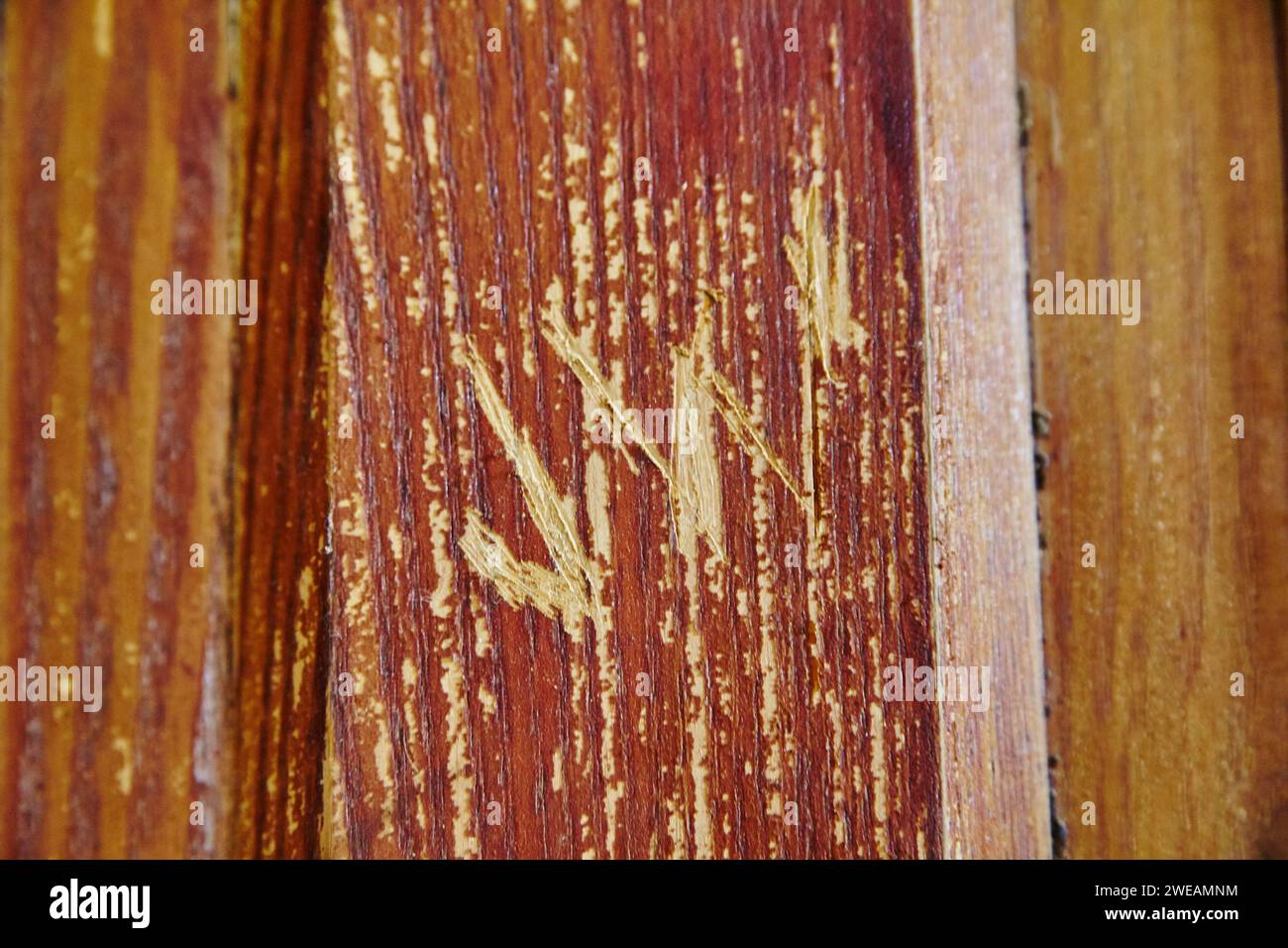 Strukturiertes Vintage-Holzmaserung Im Nahbereich Stockfoto