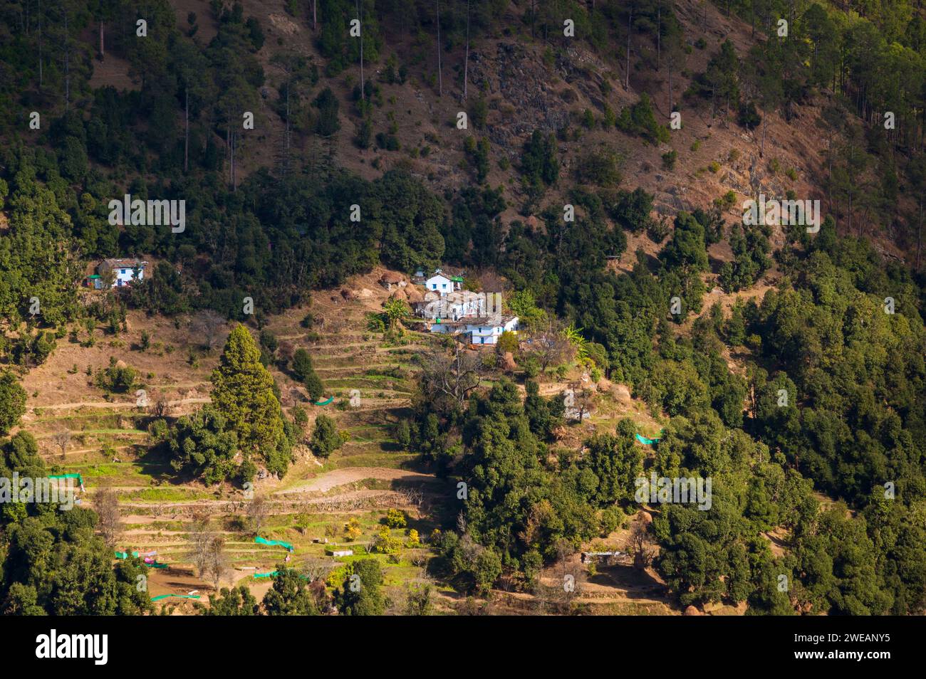 Landschaft mit Bergen. Malerisches Dorf in den Hügeln des Himalaya, Region Kumaun, Uttarakhand, Indien, Stockfoto