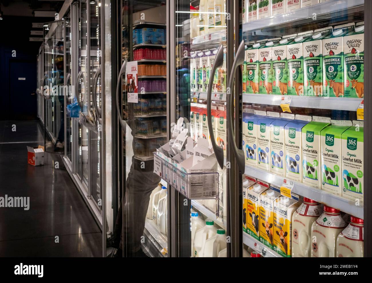 Die Arbeiter lagern den Milchkühler am Dienstag, den 16. Januar 2024, in einem Supermarkt in New York. (© Richard B. Levine) Stockfoto