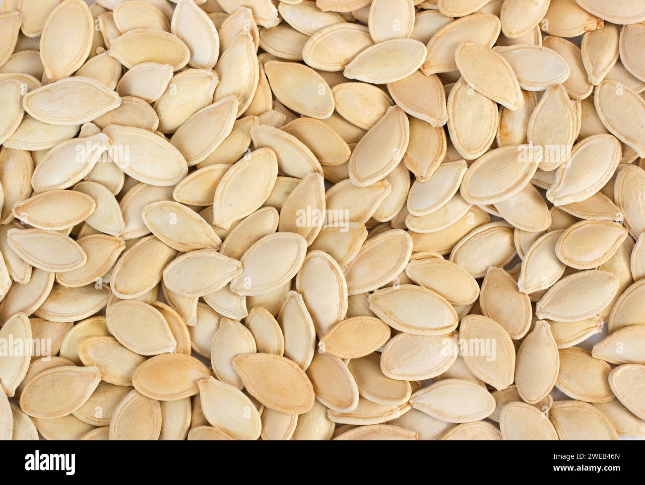 Hintergrund Für Kürbiskerne. Draufsicht Mit Vielen Rohen Samen Von Kürbis. Stockfoto