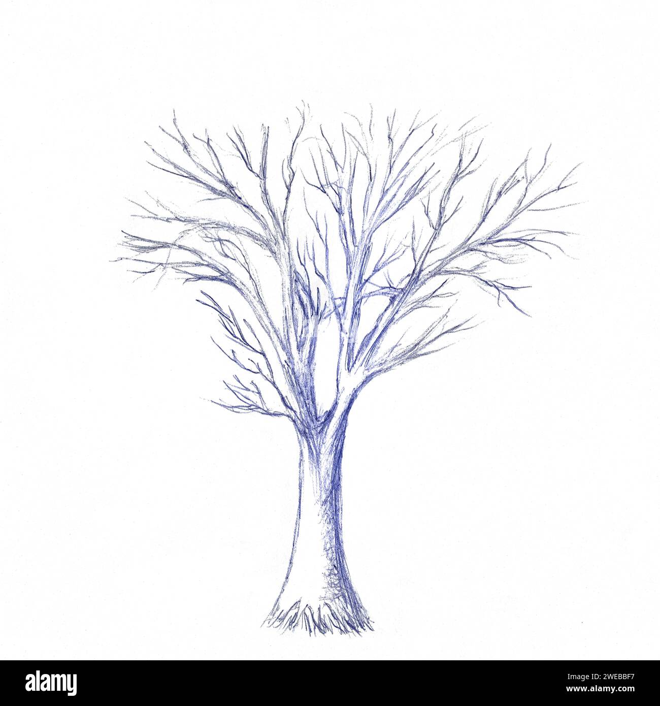 Abstrakter primitiver Baum. kugelschreiberskizze. Vereinfachtes Zeichnen für die Praxis, das Skizzieren mit Kugelschreiber. Stockfoto