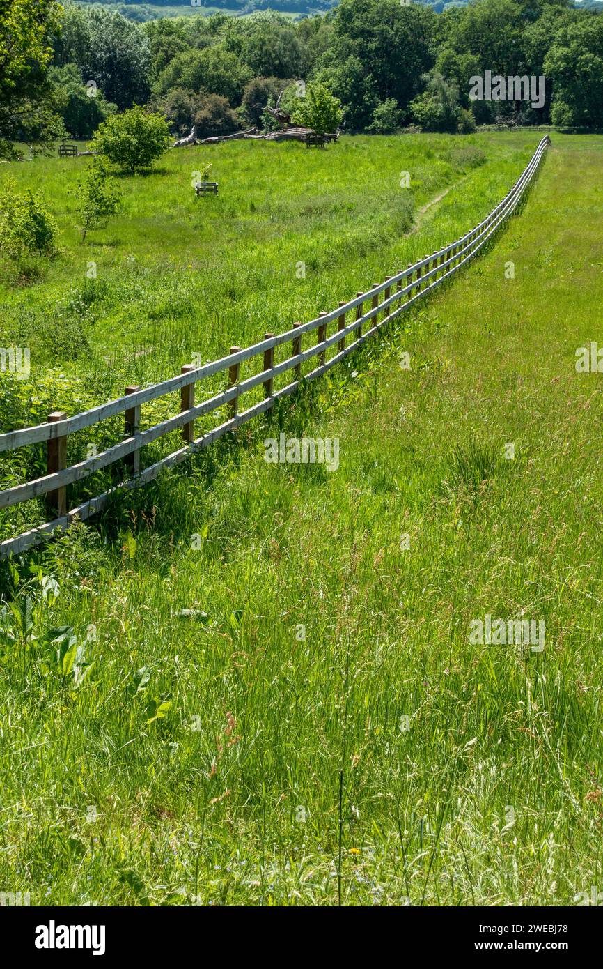 Langer, gerader, hölzerner Pfosten- und Eisenbahnzaun über ein Feld mit grünem Gras mit Waldbäumen dahinter, Derbyshire, England, Großbritannien Stockfoto