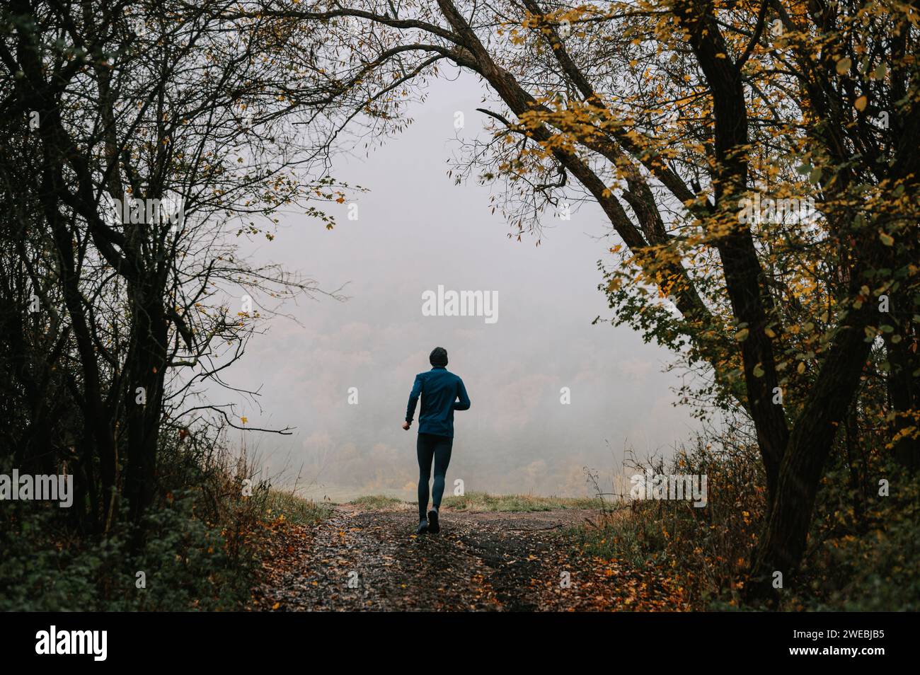 Ein junger Trail Runner taucht aus dem Herbstnebel auf Stockfoto