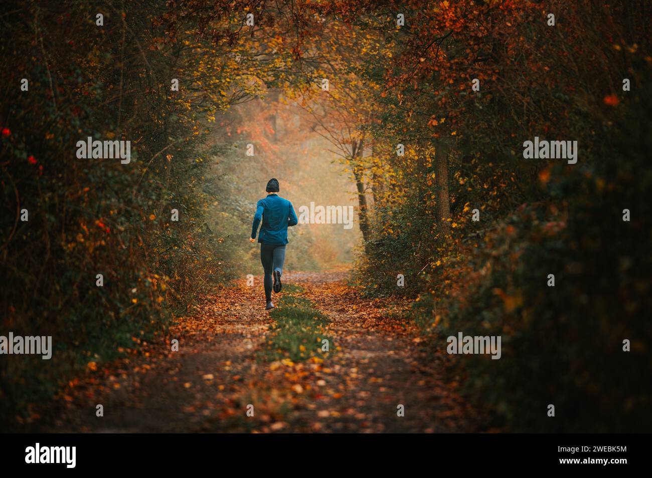 Young Runner Stürmt Durch Farbenfrohe Fog-Laden-Trails Stockfoto