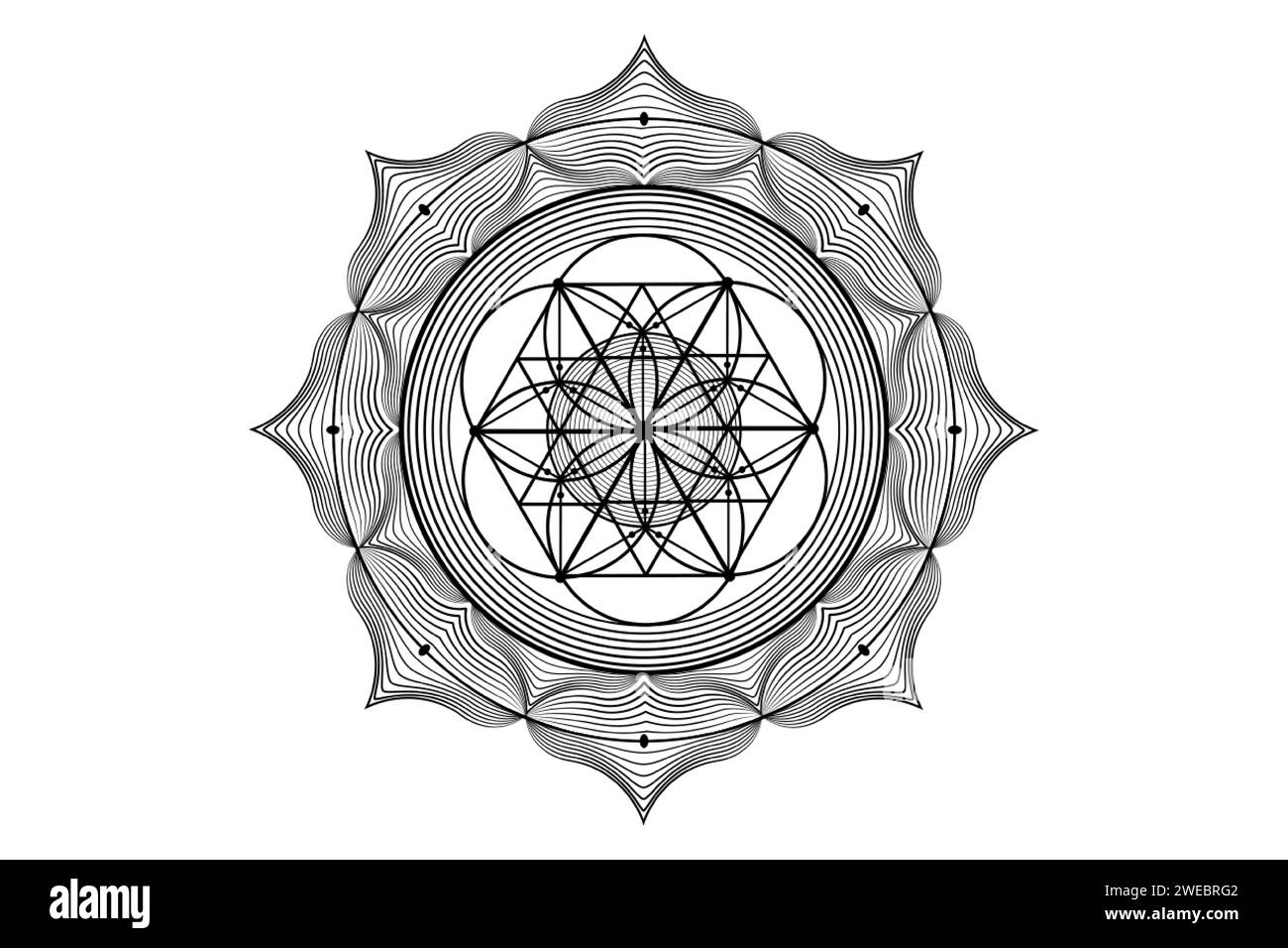 Heiliger Lotus yantra Mandala, mystische Blume des Lebens. Heilige Geometrie, grafisches Element des Vektorlogos isoliert. Mystic Icon Samed of Life, geometrisches Logo Stock Vektor