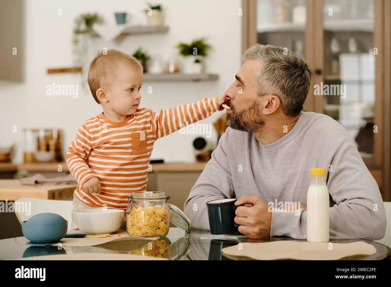 Entzückender Junge, der seinem Vater Kekse oder Cornflakes mit einer Tasse Tee oder Kaffee in den Mund steckt und mit seinem Sohn frühstückt Stockfoto