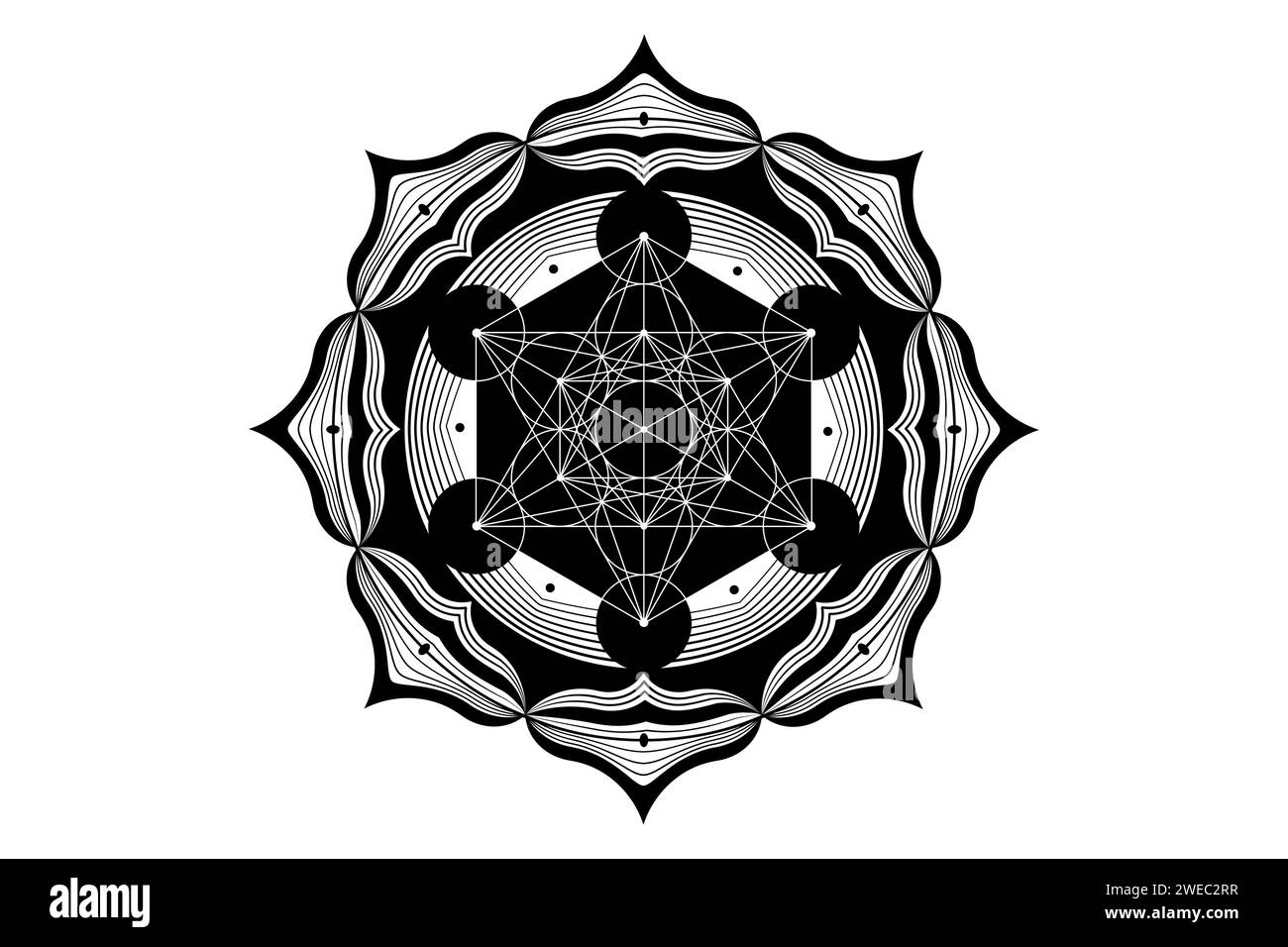 Heiliges Mandala des Metatrons Cube, mystische Blume des Lebens. Heilige Geometrie, grafisches Element Vektor isolierte Illustration. Platonische Volumenkörper mit mystischem Symbol Stock Vektor