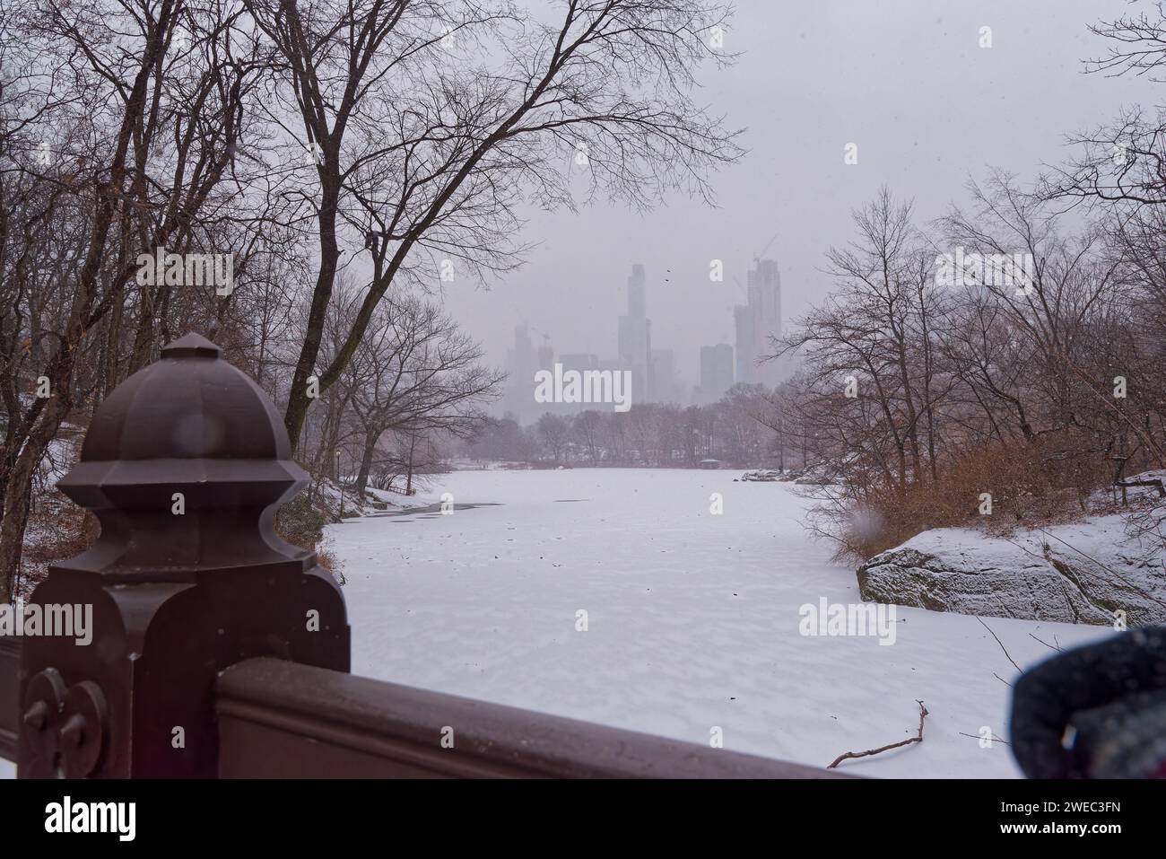 Central Park, Manhatttan New York, Sous la neige au mois de décembre avec des promeneurs et des sportifs Stockfoto