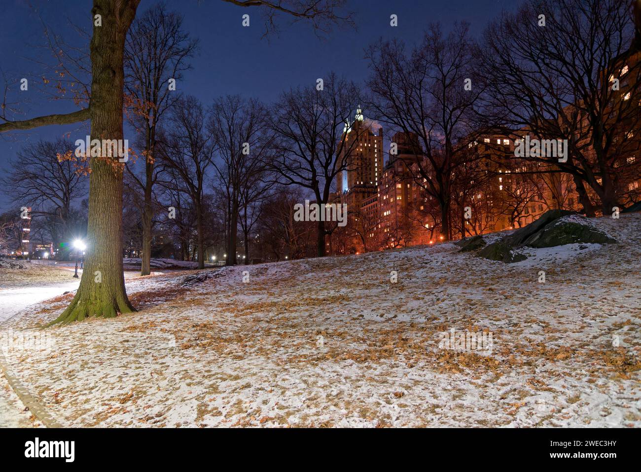 Central Park, Manhatttan New York, Sous la neige au mois de décembre avec des promeneurs et des sportifs Stockfoto