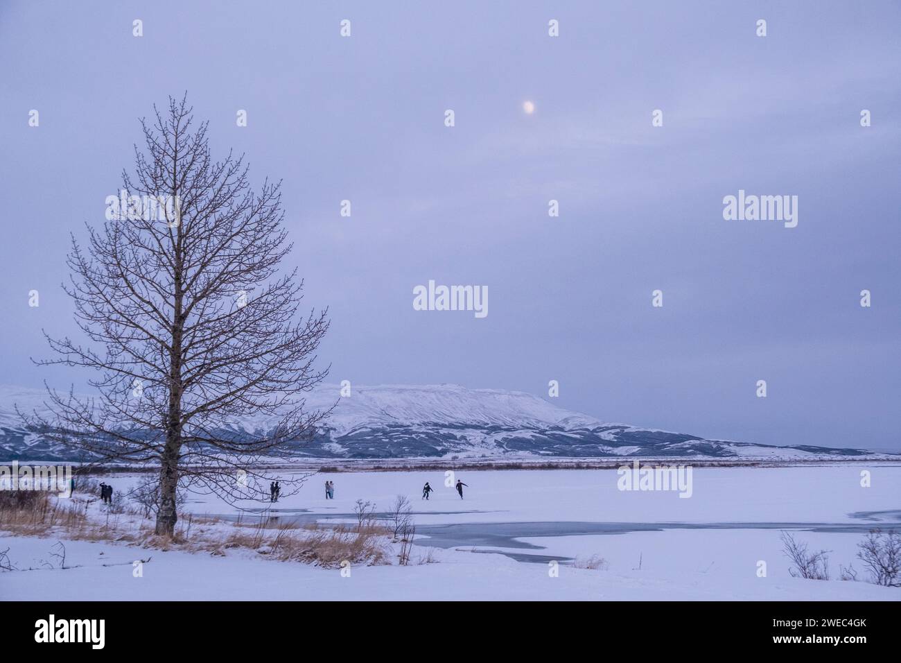 Eisläufer auf dem Eis in Laugarvatn, Island, an einem Winterabend Stockfoto