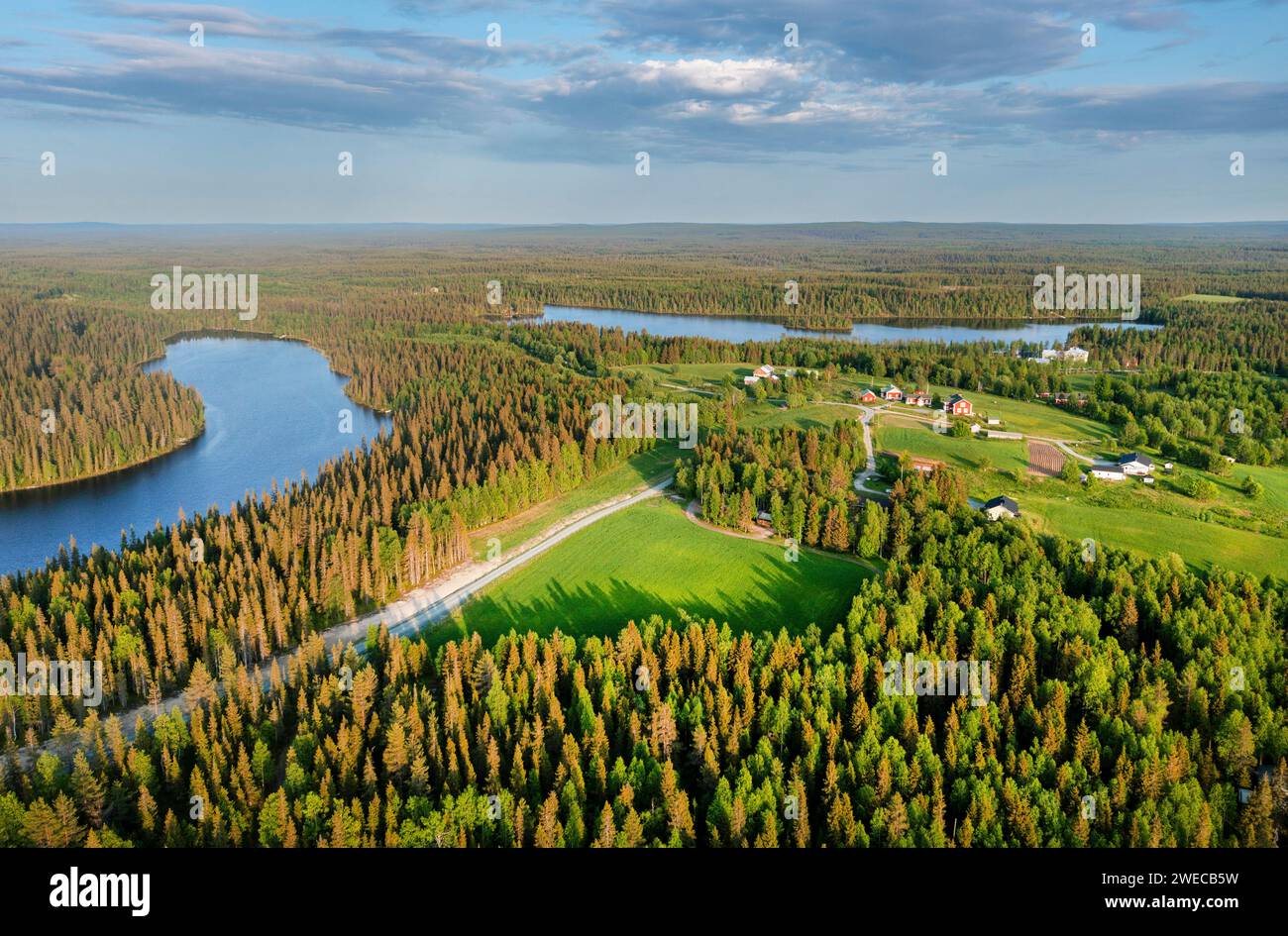 Fichtendieback in finnischer Taiga bei Pitkaelahti und Laensilahti, Luftbild, Finnland, Kuusamo, Virkkula Stockfoto