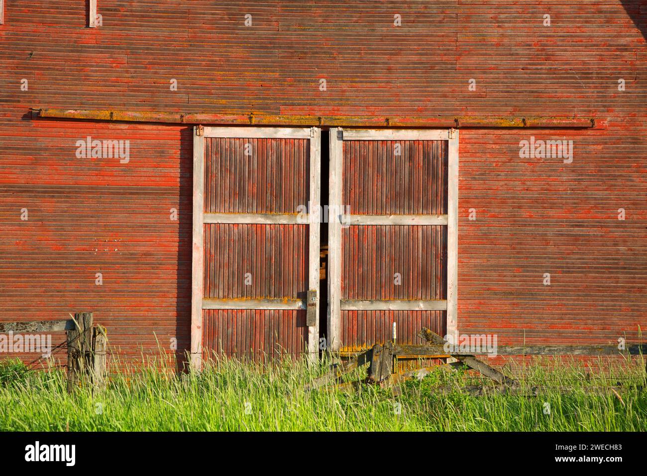 Palouse Scheune, Whitman County, Palouse Scenic Byway, Washington Stockfoto