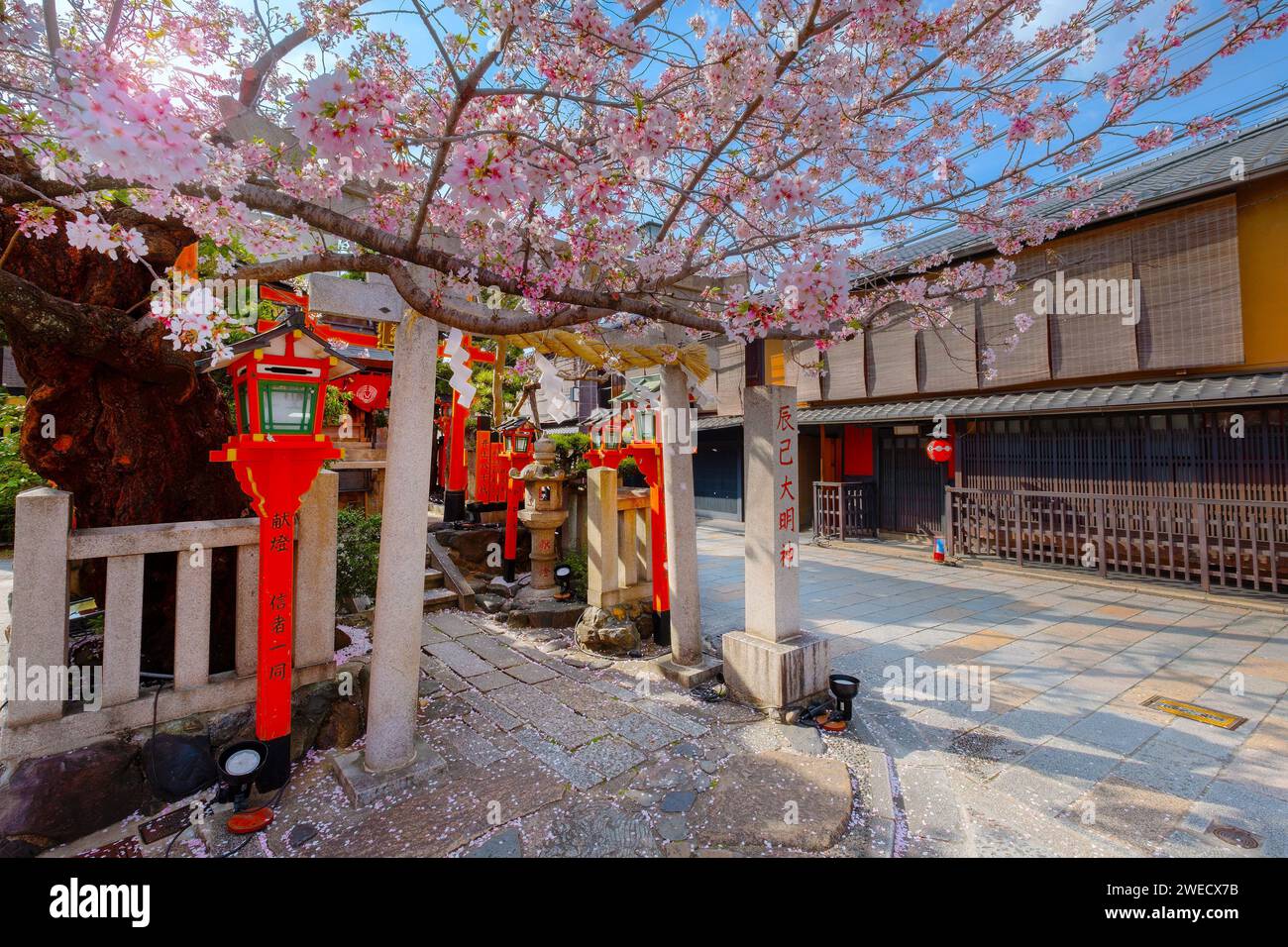 Kyoto, Japan - 2. April 2023: Tatsumi Daimyojin-Schrein in der Nähe der Tatsumu-Bashi-Brücke im Stadtteil Gion Stockfoto