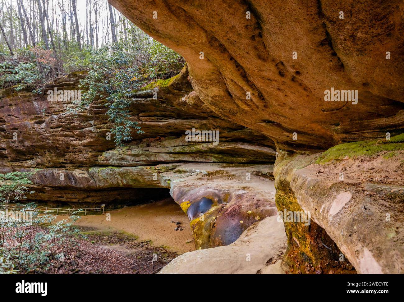 Hazard Cave Trail Felsformation am Big South Fork National River and Recreation Area im Herbst Stockfoto