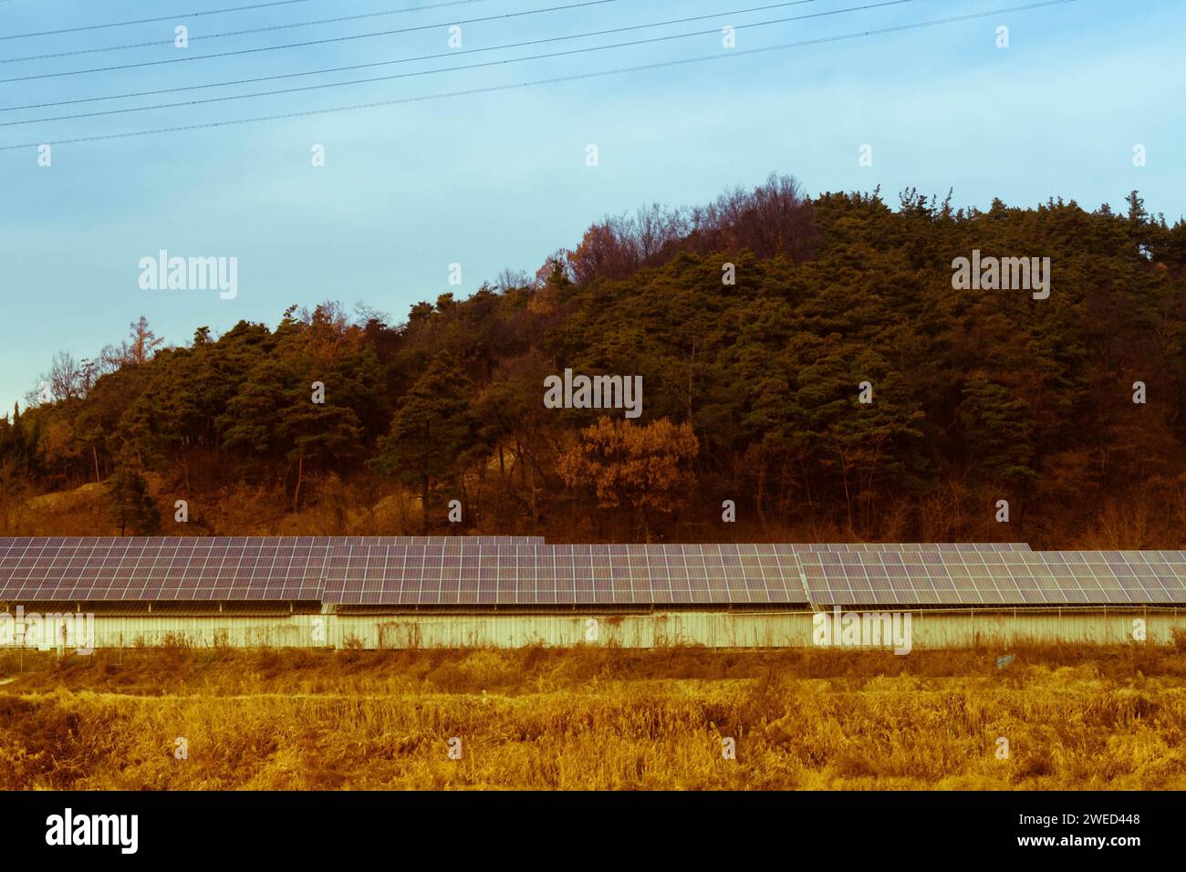 Altes Foto einer großen Auswahl an Solarpaneelen auf dem Land vor einem Hügel, bedeckt mit üppigem Laub unter blauem, teilweise bewölktem Himmel Stockfoto